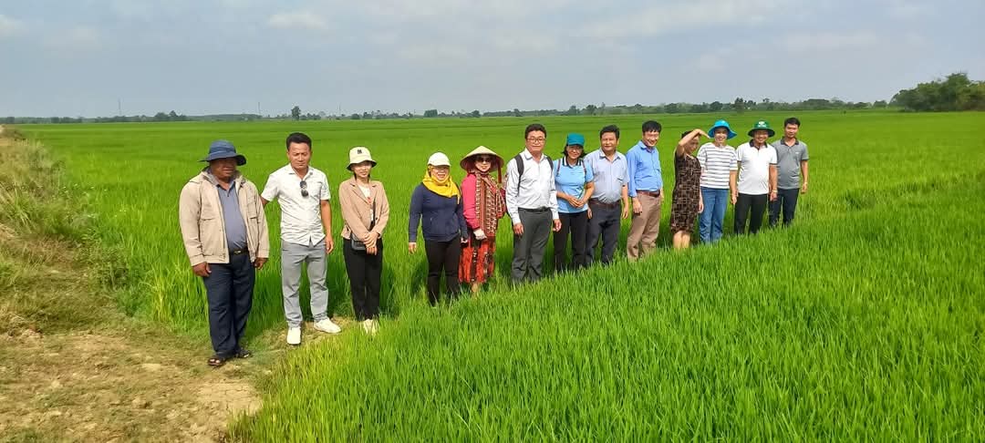 Tham quan tổ hợp tác trồng lúa xã Ea Rốk